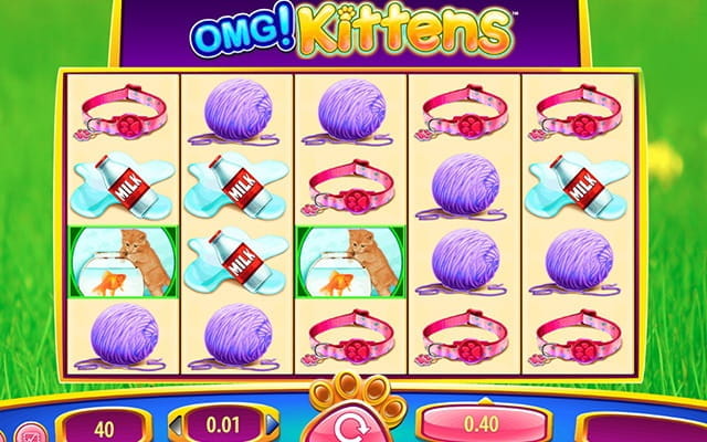 OMG! Kittens slot gameplay