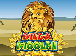 Casino Action Mega Moolah