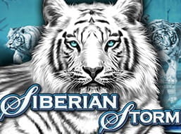 Siberian Storm Slot by IGT