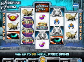 Siberian Storm Video Slot Free Online Version for Malta