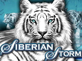Siberian Storm Slot by IGT