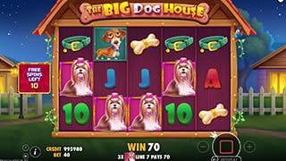 The Big Dog House Bonus