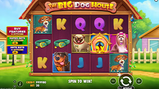 The Big Dog House Gameplay