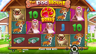 The Dog House Bonus