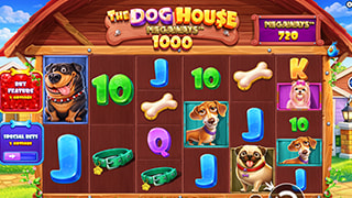 The Dog House Megaways 1000 Gameplay