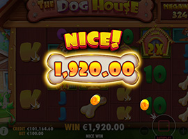 A Big Win on The Dog House Megaways  Slot Machine