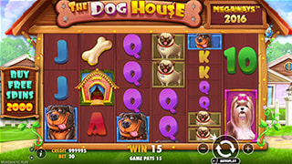 The Dog House Megaways Gameplay
