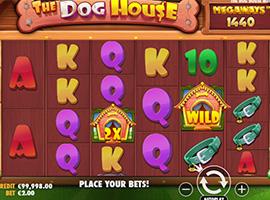 The The Dog House Megaways Slot Game