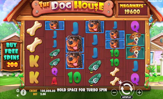 The Dog House Megaways slot