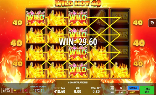 Wild Hot 40 slot
