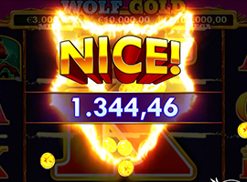 A Big Win on the Wolf Gold Slot Machine