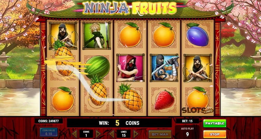 Ninja Fruits Game Free Slot Machine by Play'n GO in 2023