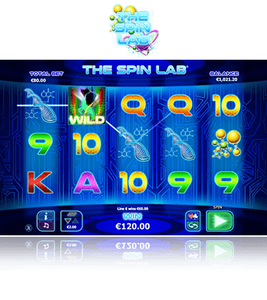 The Spin Lab