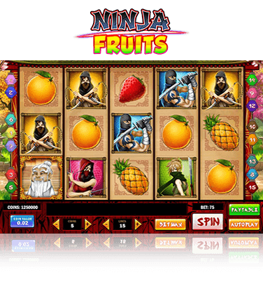 Ninja Fruits Game