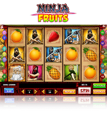 Ninja Fruits Slot Review 🥇 (2023) - RTP & Free Spins