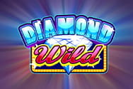 Diamond Wild slot game preview