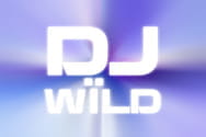 Preview of DJ Wild slot