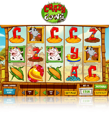 Crazy Cows Casino