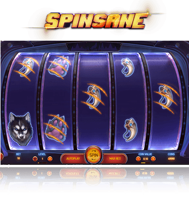 Spinsane Game