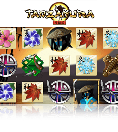 Ninja Slot Review, Demo & Free Play