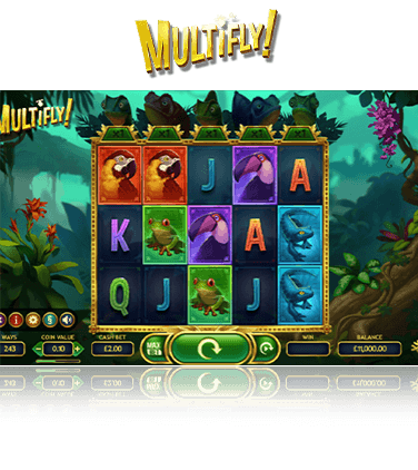 Multifly! Free Demo Game