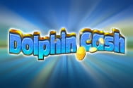 Dolphin cash preview