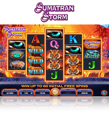 Sumatran Storm game