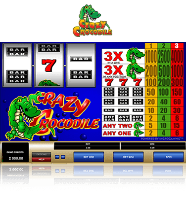 Crazy Crocodile game
