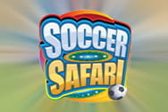 Soccer Safari