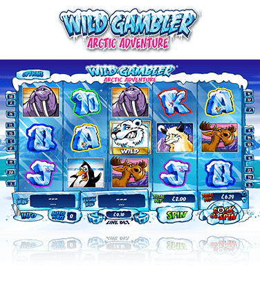 Wild Gambler 2: Arctic Adventure Game