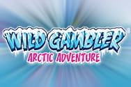 Wild Gambler 2: Arctic Adventure